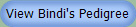 View Bindi's Pedigree